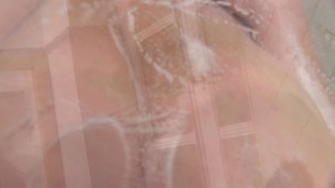 Glands Under Glass small screenshot